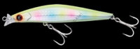 ECLIPSE Astraia Shallow 99F 65W CHART CANDY -
