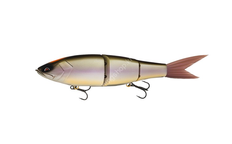 GALAPAGOS Grace 280F #18 Biwako Spec-V