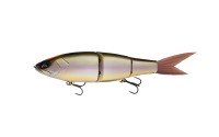 GALAPAGOS Grace 280F #18 Biwako Spec-V