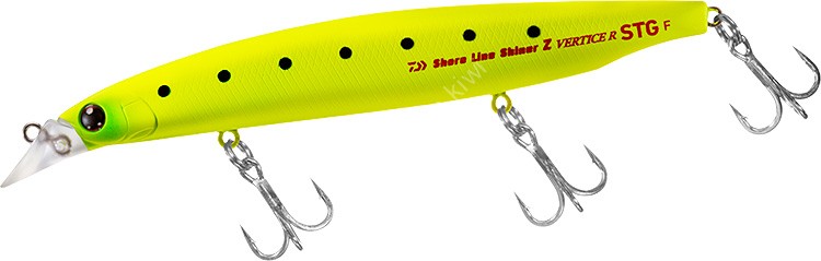 DAIWA Shore Line Shiner Z Vertice R STG 125F #Mat Chart Iwashi