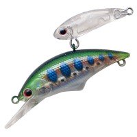 ANGLERS REPUBLIC PALMS Alexandra Shade 35S # 03 Aurora Yamame ( 03 C53 )