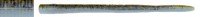 NORIES 5 -1/4" Latterie #503