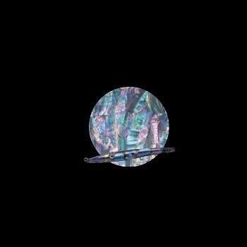 AWABI HONPO Rare Limited Abalone Sheet Medium Format Taiwan / Black