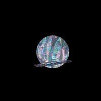AWABI HONPO Rare Limited Abalone Sheet Medium Format Taiwan / Black
