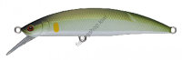 Supremo Baila 70H B01 KS PEARL SWEET FISH (AYU)