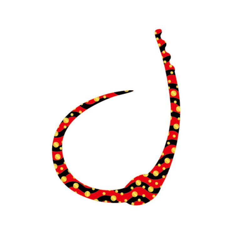 SASA LABO SCC-05 Single Cobra Curly #Red Zebra Gold Dot