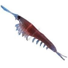 NIKKO 031 Krill M