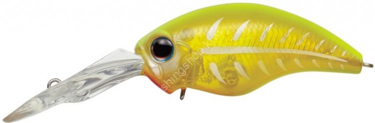 EVERGREEN Wildhunch8 Eight-footer #67 Flash Chart
