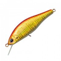 ANGLERS REPUBLIC PALMS Alexandra 43FS # ST-34 Akakin