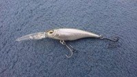MEGABASS SHADING-X (SP-C) Suigo Wakasagi