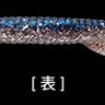 PRO'S ONE Death Adder Shad 4 #16 Sardines