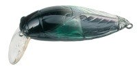 TACKLE HOUSE elfin Large Cicada #01 Aurora・Black
