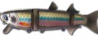 KASUMI DESIGN Boracon 150-HF #KDW11 Golden Shiner