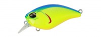 DUO Realis Crank Mid Roller 40F # ACC3016 Blueback Chart