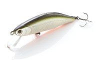 JACKSON Meteora 63 #TSD Tennessee Shad