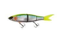 OTHER BRANDS GALAPAGOS Grace 280F #20 Chart Girahas