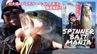 TSURIBITO DVD Spinner Bait Mania