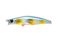 POP SEA CREW Banq 82S #006 Bora Glow