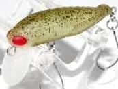 RODIOCRAFT RC Grasshopper 21 2014 Nobukara