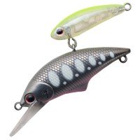 ANGLERS REPUBLIC PALMS Alexandra Shade 35S # 05 Matte Glow Yamame ( 05 MAL322 )