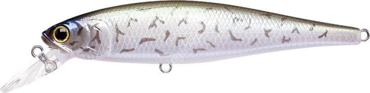 LUCKY CRAFT Pointer 100SP #Black Crappie