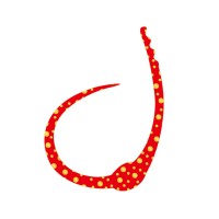 SASA LABO SCCJ-01 Single Cobra Curly Jr. #Red Gold Dot