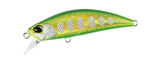 DUO Spearhead Ryuki 50S #ANA4099 Double Green Gold Yamame