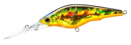 DUEL Hardcore Shad 75SF #06 HGSN Golden Shiner