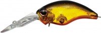EVERGREEN Wildhunch8 Eight-footer #18 Flash Gold