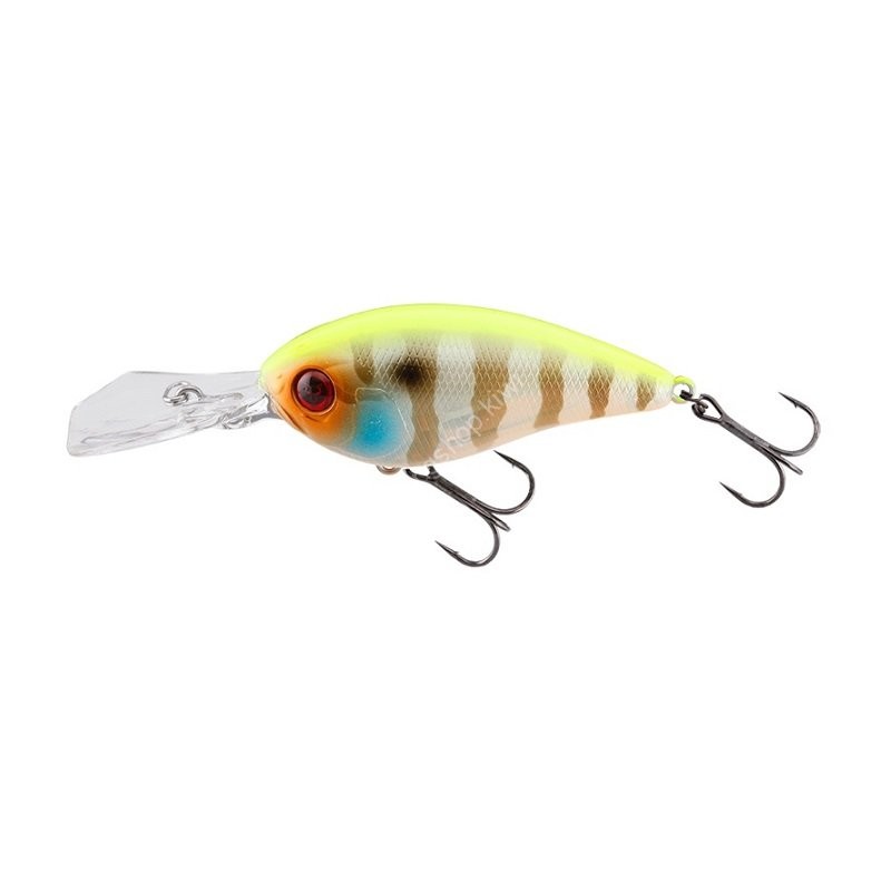 JACKALL Digle 5+ Chart Back Blue Gill Lures buy at