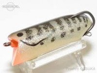 RODIO CRAFT Pictus #13 White Coach Dog