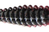 ISSEI BiBiBi Bug 4" #37 Black / Red