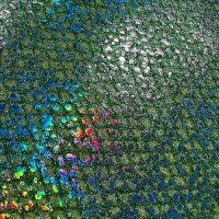 MATSUOKA SPECIAL Silicone Sheet 0.65mm #Hologram Green