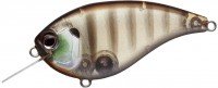 EVERGREEN Flat Force # 246 Juvenile Gill