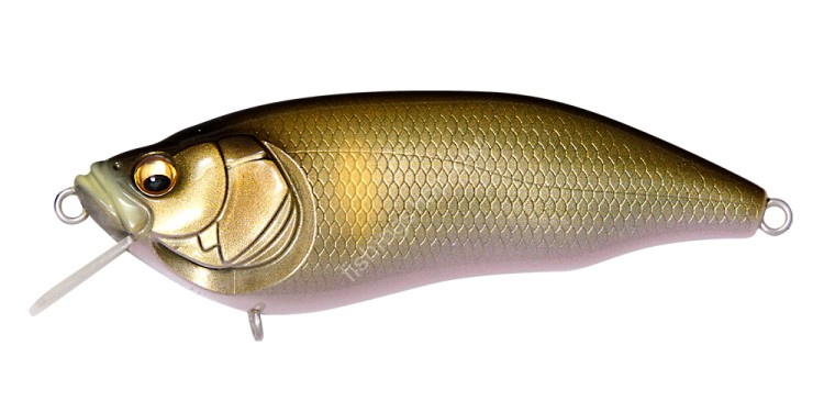 MEGABASS IxI Furious 0.5 64F 7.1g #FA Tenryu Ayu