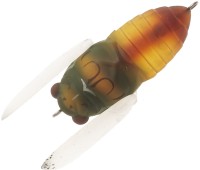 TIEMCO Trick Trout Tiny Cicada #TTTC-043 Haruzemi