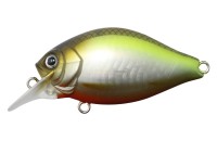 ISSEI G.C. Shallow Crank 40SR Chira #01 Murakami Shad
