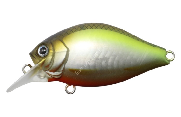 ISSEI G.C. Shallow Crank 40SR Chira #01 Murakami Shad