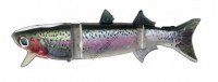 KASUMI DESIGN BORACON 150 KDW01 RAINBOW TROUT (NIJIMASU)
