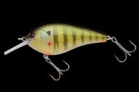 NORIES Complete Flat 68 # 309 Pearl Real Gill