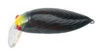 TACKLE HOUSE elfin Large Cicada #04 Aurora・Black・Chart