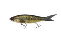 GALAPAGOS Grace 280F #R01 Real Bass