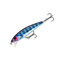 RAPALA X-RAP Magnum Cast X-RAPMAGCA10-HDBTO