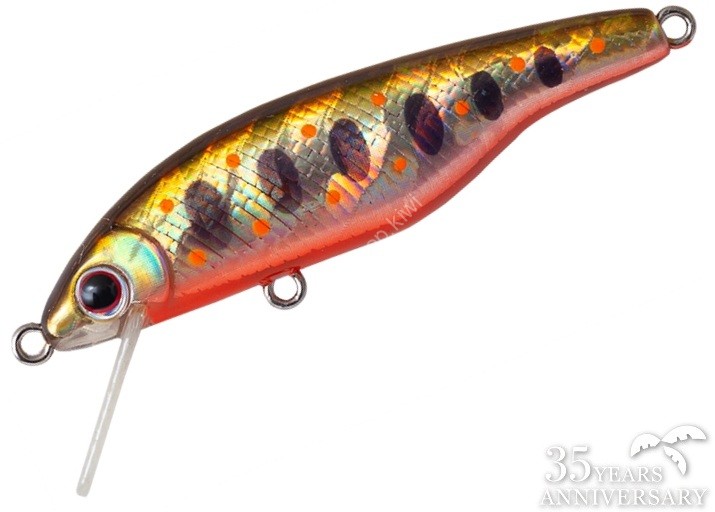 ANGLERS REPUBLIC PALMS Rapid45S 35th #MG-441 Amago Orange Belly