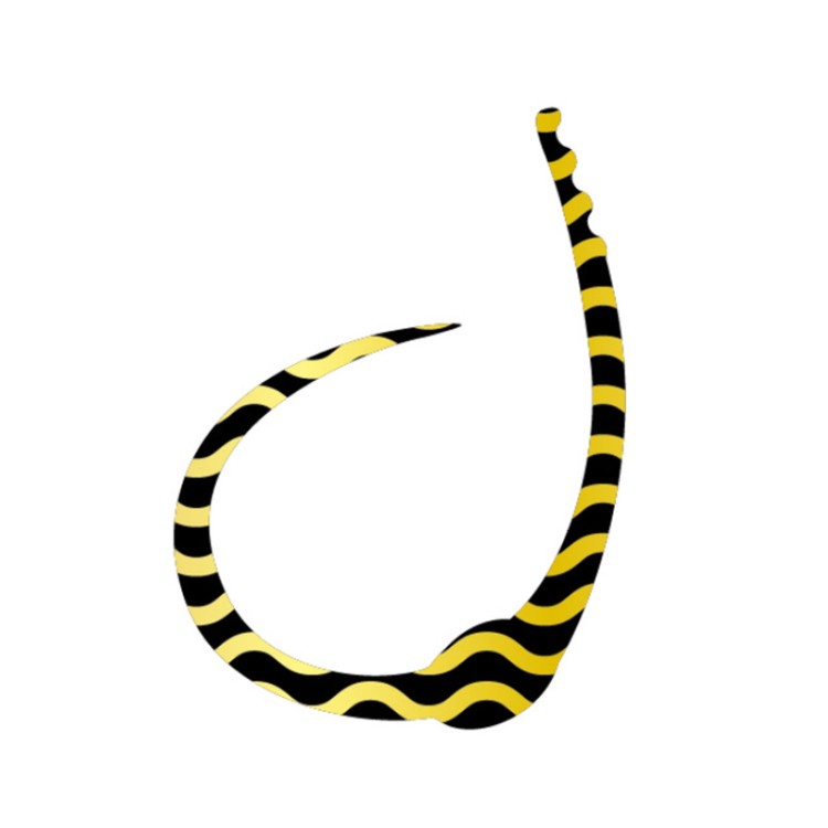 SASA LABO SCCJ-03 Single Cobra Curly Jr. #Black Gold Zebra