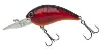NORIES Warming Crank Shot Full Size #160 Ray Ban Red II