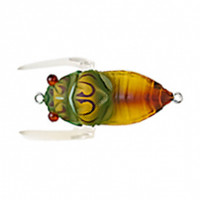 TIEMCO Trick Trout Cicada ll Bass Tune TTC-B-043SPRING CICADA