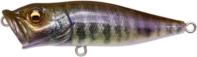 MEGABASS Popx Fa #Baby Gil