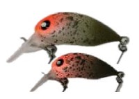 MUKAI Komaya26(F) #Kanimiso Olive