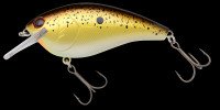 NORIES Shot Stormy Magnum TDM 275